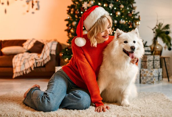 Célébrer noël en solo : 10 activités apaisantes à envisager